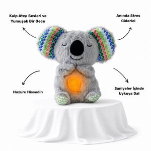 Kulakları Renkli Koala